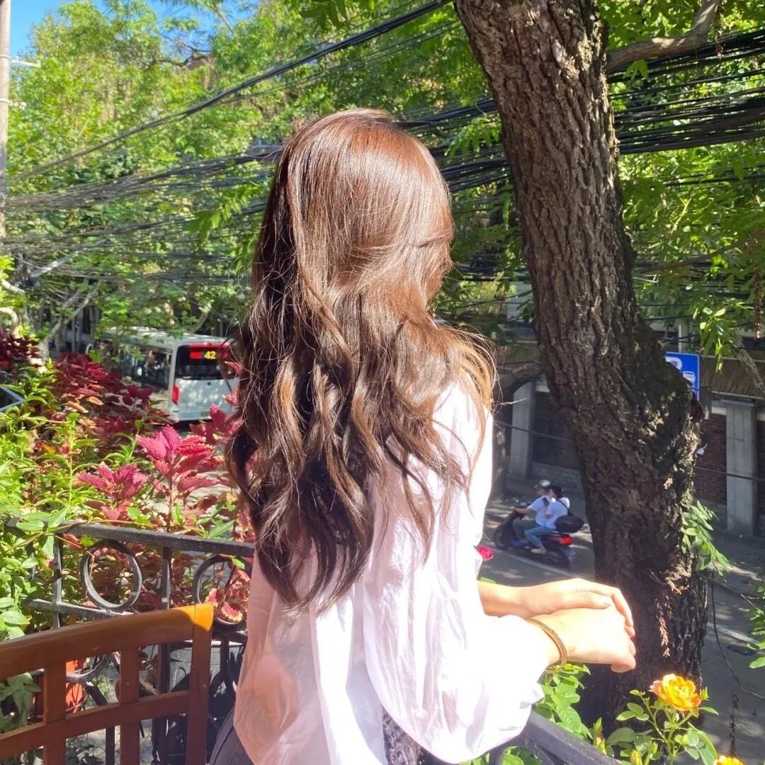 羊与钢之森